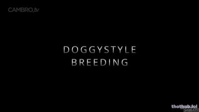 sloansmoans OnlyFans leaked doggystyle breeding sloansmoans on HDthot