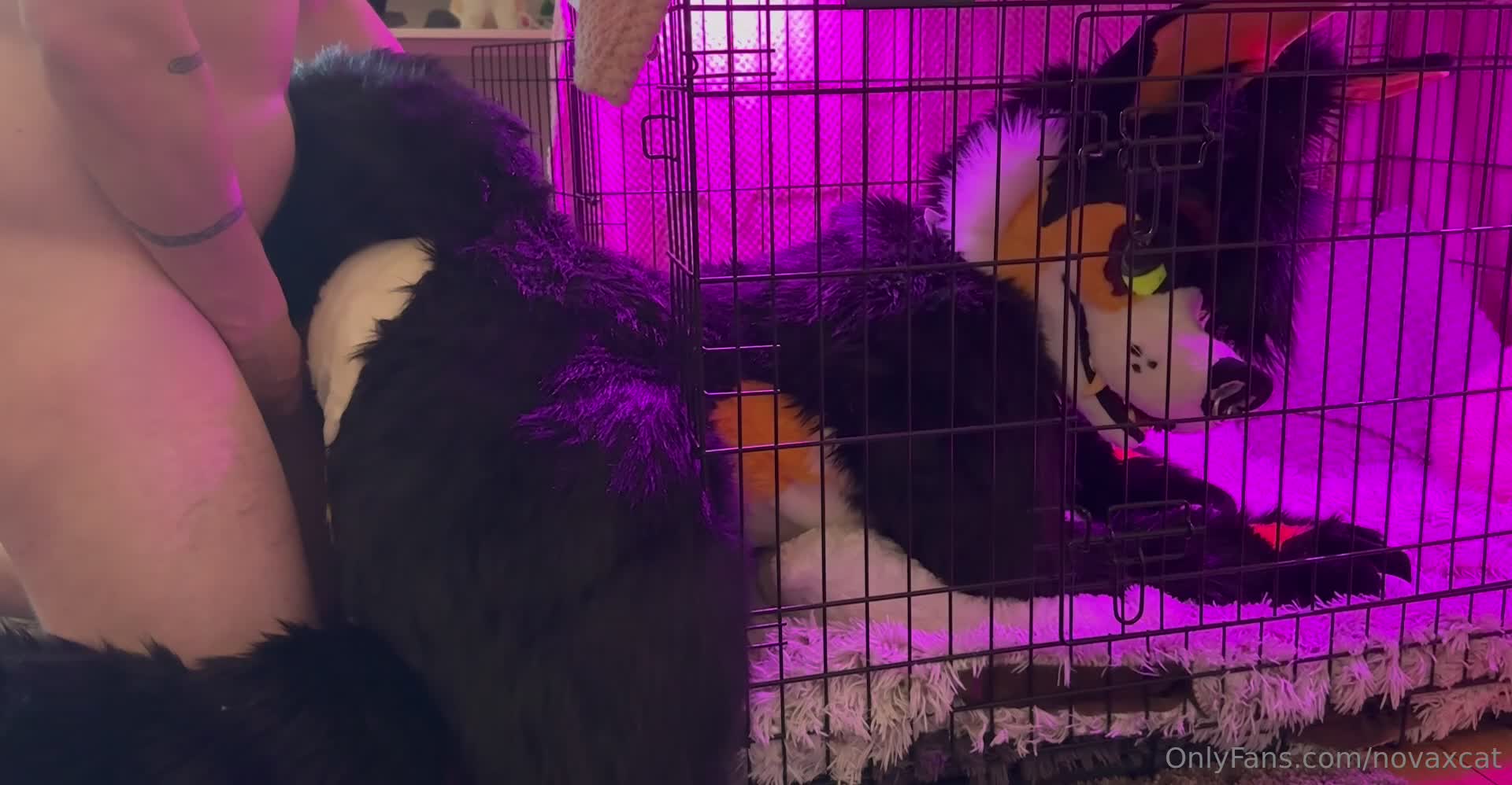 novaxcat OnlyFans leaked Novaxcat - Having fun in my fullsuit being put in my place like a good .. on HDthot