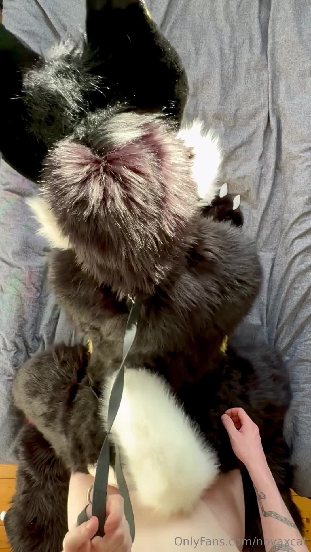 Novaxcat - I love fucking in my fullsuit so much! I might try some bon..