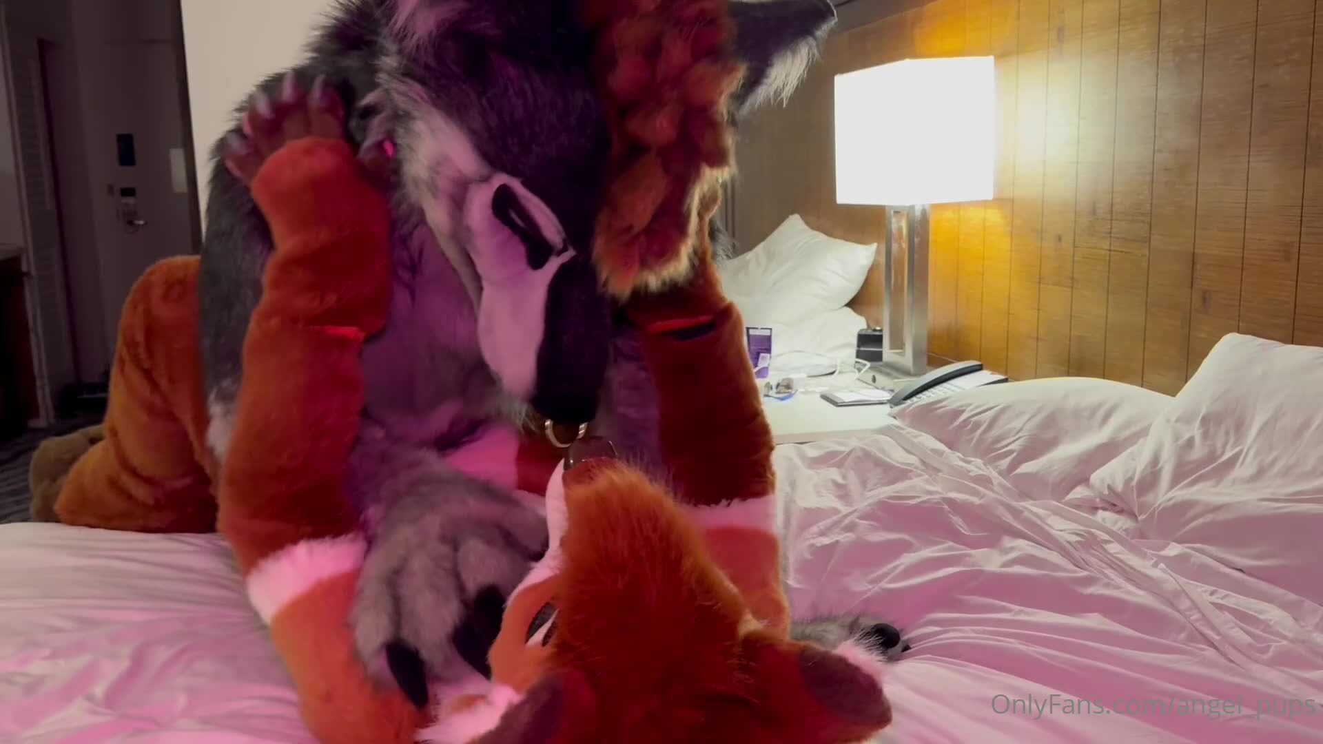 angel_pups OnlyFans leaked Angel_pups - Big werewolf claiming his fox Thank you @knottydawgs for f.. on HDthot