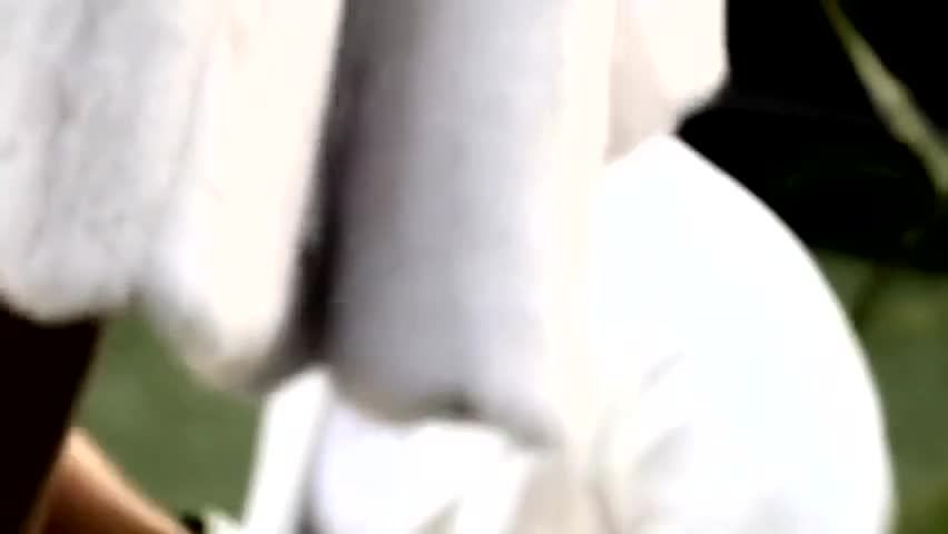 Emily Ratajkowski Nude BTS Photoshoot Video Leaked