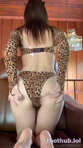 Haesicks As Pretty Kitty
