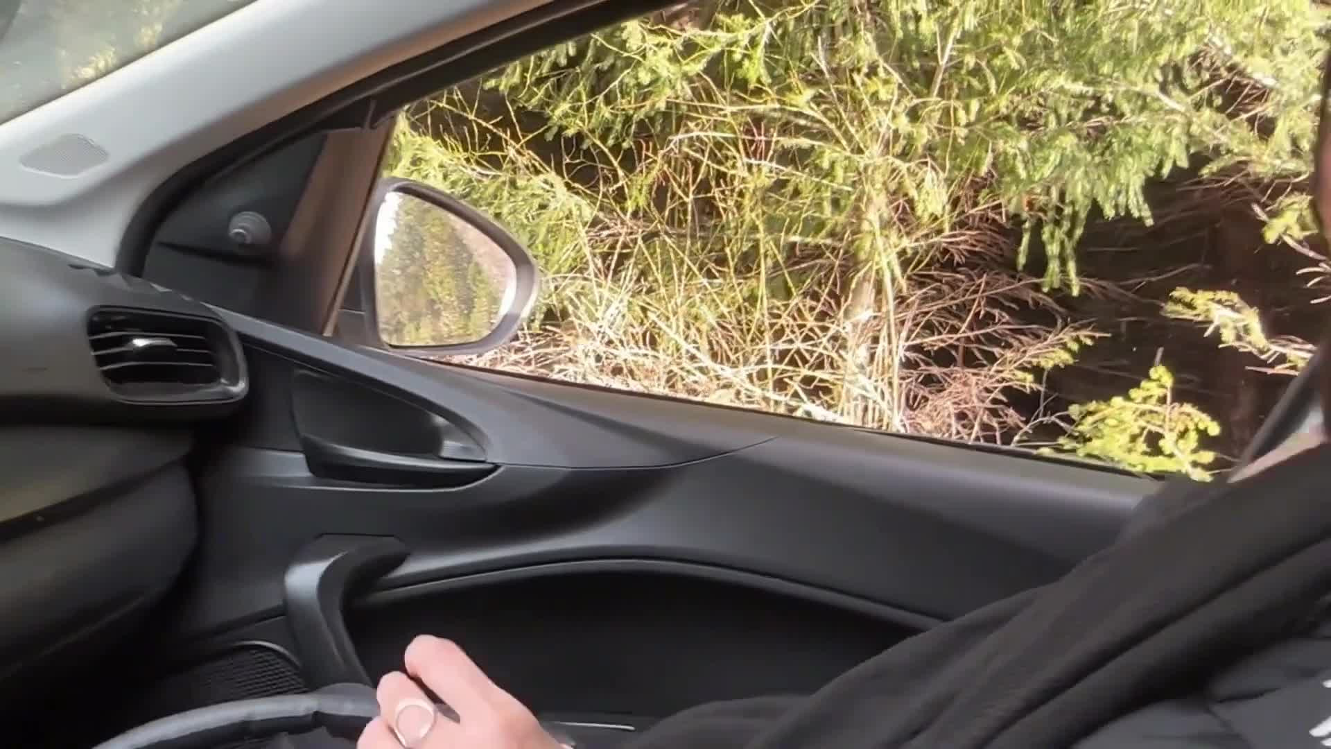 OnlyFans leaked Cam Nair Blows A Strangers Cock In The Woods - Blowjob - Outdoor - Amateur - Stranger - Brunette - Big Ass - Big Boobs - Big Lips - Latina - Spanish on HDthot