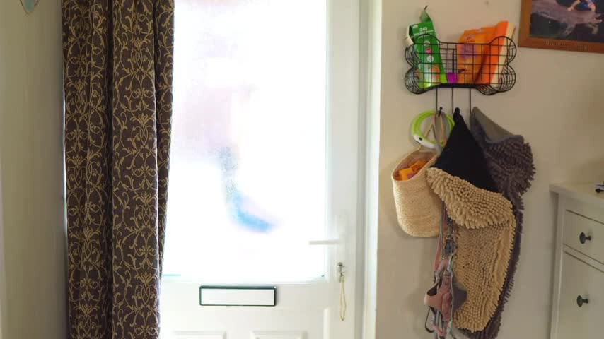 JessieHH - Mean MILF Neighbor Bribes You