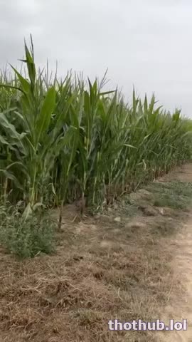 Angele Ice  BG Outdoor Farming Sextape