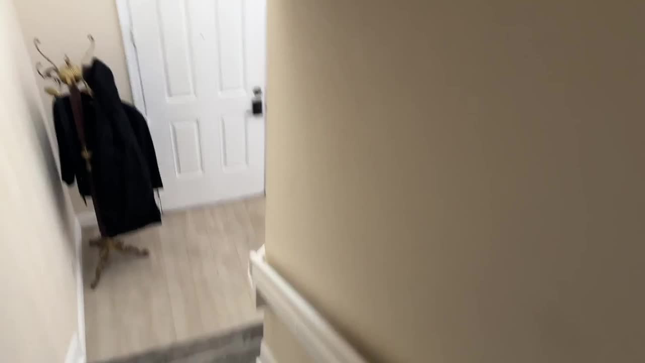 Sneaky Sex With My step-Brothers Girlfriend ~ Cassidy Luxe