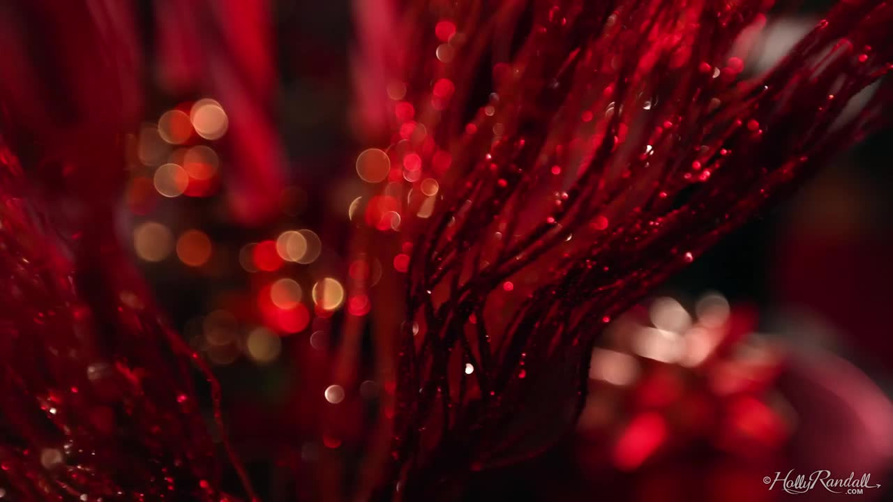 Lena Paul - NAUGHTY OR NICE