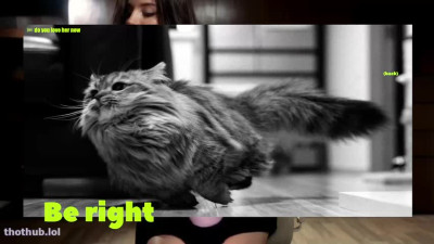 cinnabelle OnlyFans leaked cinnabelle's chaturbate show June-30-2024 19:50:13 on HDthot