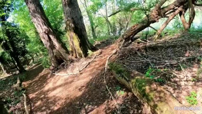 Pho OnlyFans leaked Gentlyperv Forest Adventure-I Happened To Meet The Slut With Her Photographer on HDthot