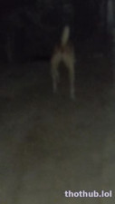 Doggy part 3